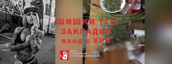 ГАЛЛЮЦИНОГЕННЫЕ ГРИБЫ Горняк